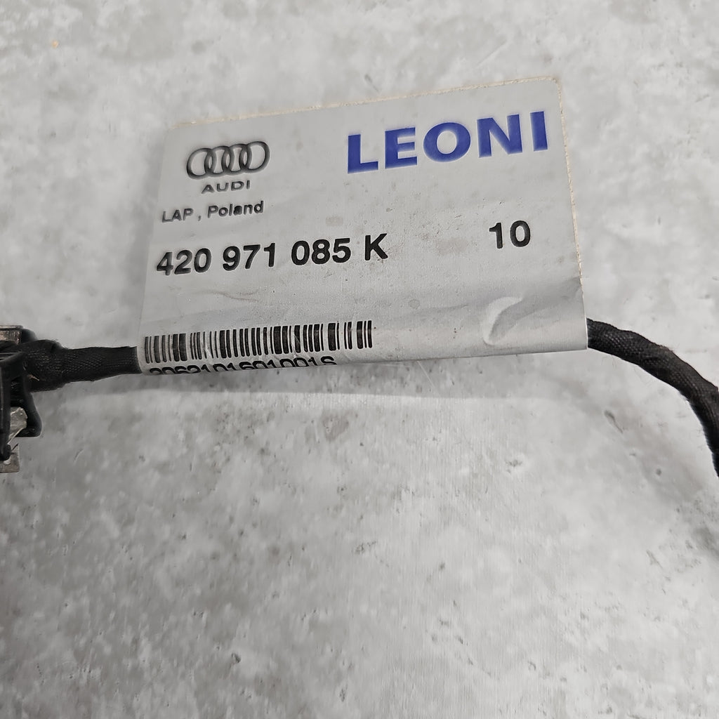 R8 REAR FOG HARNESS 420971085K