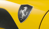 FERRARI F12 CARBON FIBRE FENDER SHIELDS